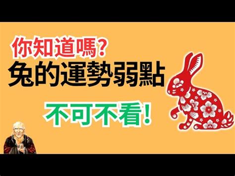 屬兔塔位座向|肖兔座向及吉祥號碼數字